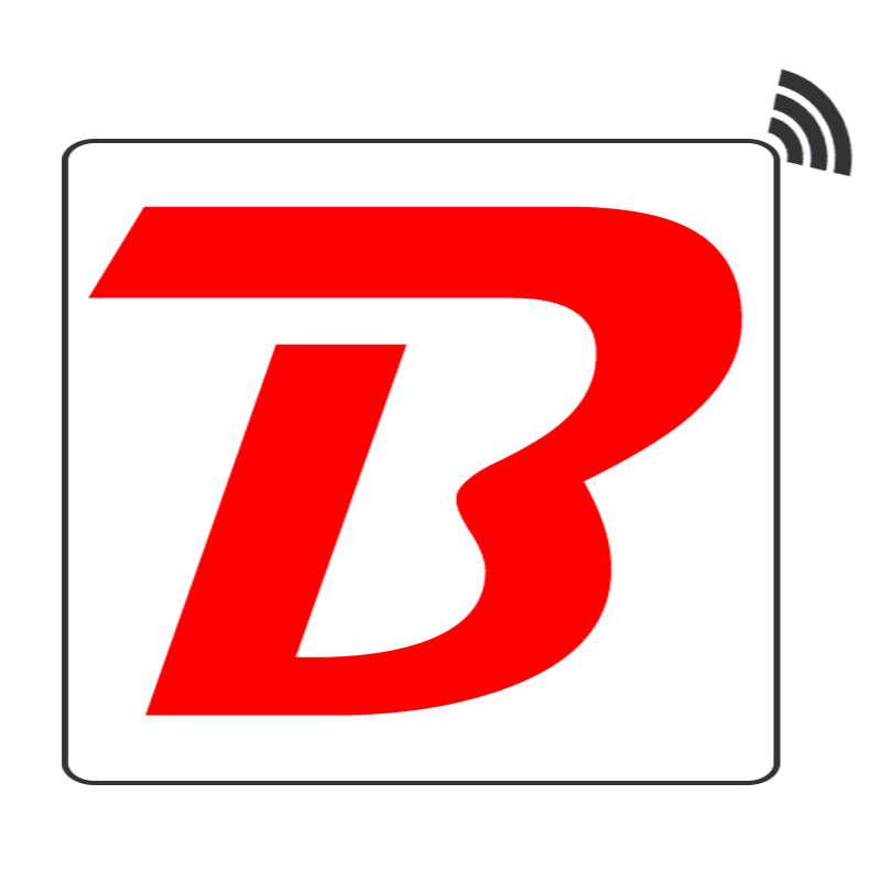 Baliakandi Online-logo